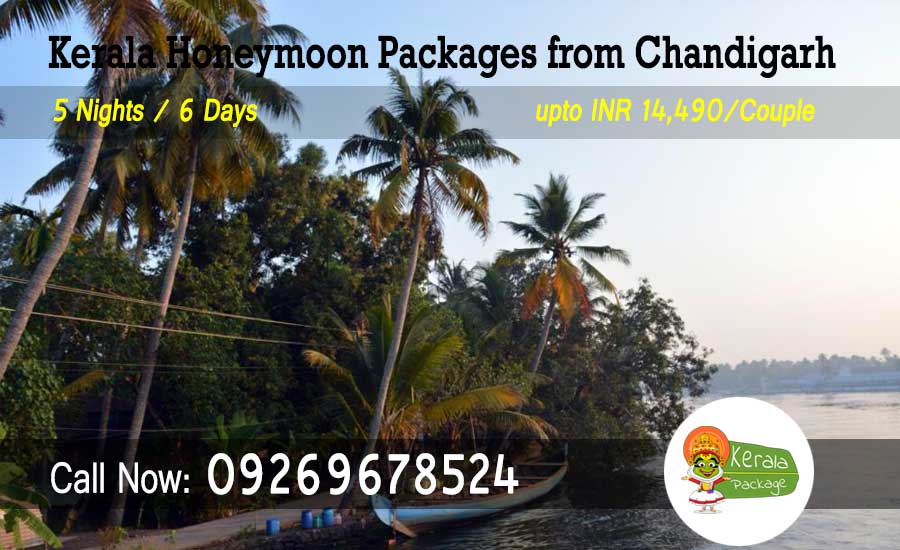 Kerala Honeymoon Packages from Chandigarh