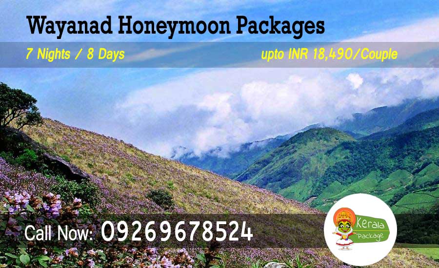 Wayanad Honeymoon Packages