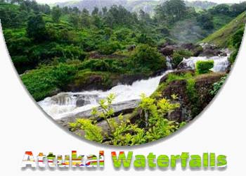 Attukal Waterfalls Munnar