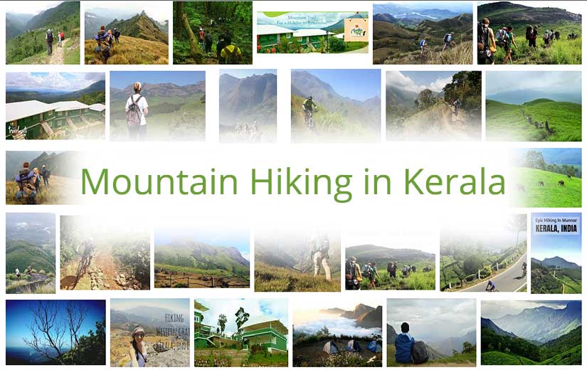 Mountain Hiking in Kerala