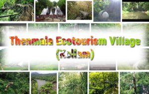 Thenmala Ecotourism Village