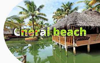 Cherai beach in Kerala