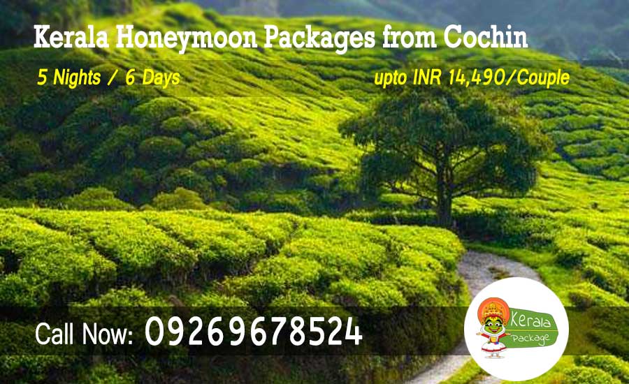 Kerala honeymoon packages from Cochin