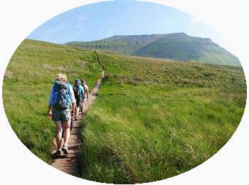 Mountain Hiking in Kerala India