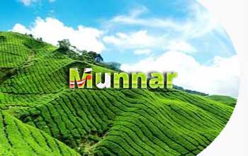 Munnar in Kerala