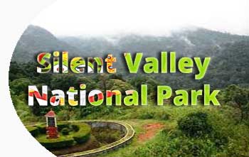 Silent Valley National Park in Kerala