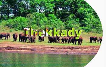 Thekkady in Kerala