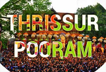 Thrissur Pooram festival