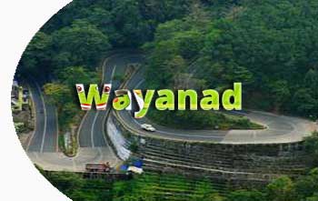 Wayanad in Kerala